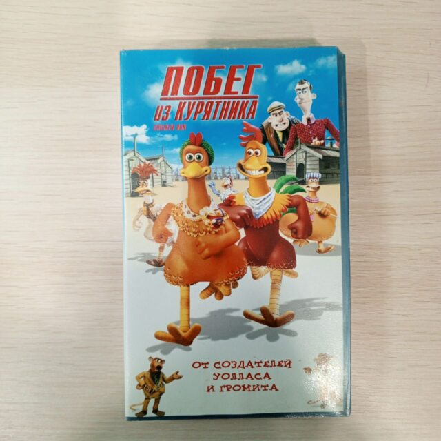 побег из курятника